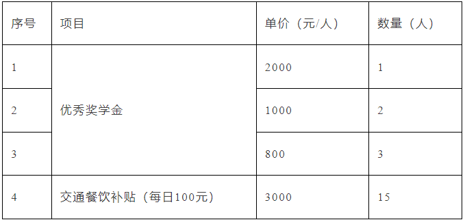 课程设置主要围绕基础英语